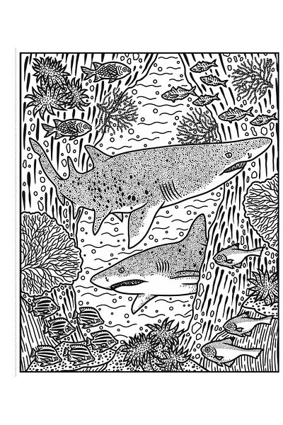 Usborne Sharks Magic Painting Book