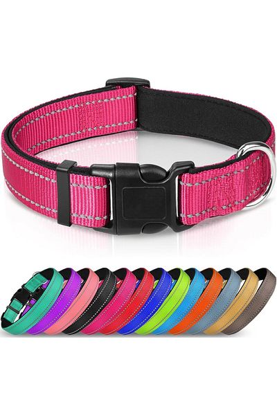 JoyTakı Joytale reflective dog collar, nylon, pink/black, size S