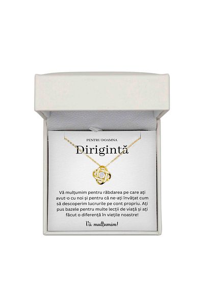 The Jewel Heart Colier Cadou pentru Dirigintă – Argint 925 Placat cu Aur 14K, Mesaj și Cutie LED