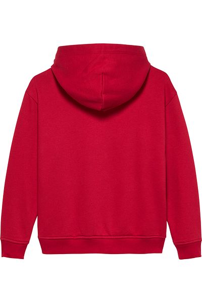 Tommy Hilfiger Male Medium Red Flag Hoodie