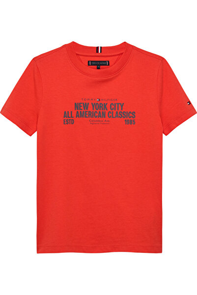 Tommy Hilfiger تي شيرت تومي هيلفيغر للأولاد بأكمام قصيرة وطبعة Horizon Nc جرا...