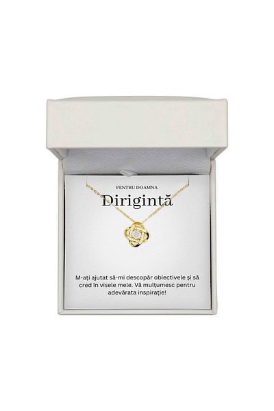 The Jewel Heart Bijuterie Cadou pentru Diriginta Mea – Argint 925 Cu Aur 14K, Ambalat Elegant