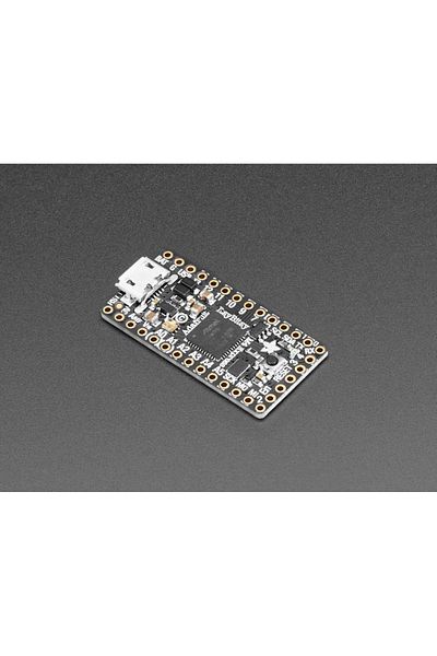Adafruit Itsybitsy M4 Express Featuring Atsamd51