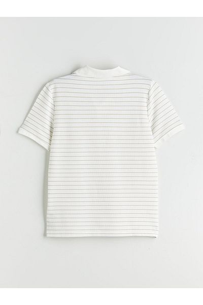 LC Waikiki Polo Neck Striped Men's T-Shirt