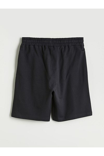 LC Waikiki Standard Fit Men's Shorts
