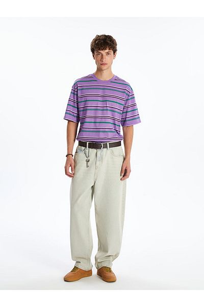 LC Waikiki Crew Neck Striped Men's T-Shirt