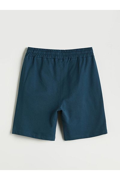 LC Waikiki Standard Fit Men's Shorts