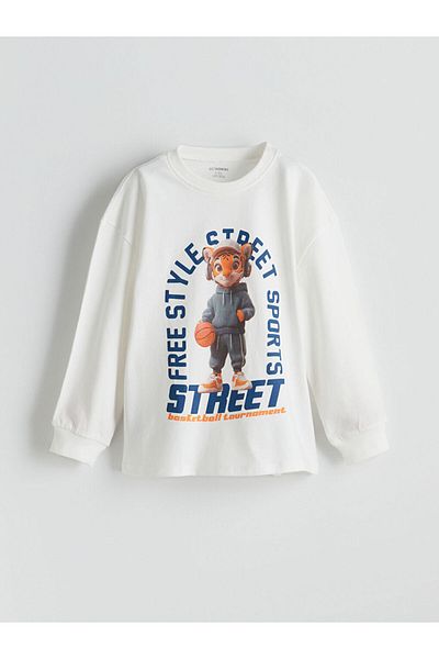 LC Waikiki Crew Neck Printed Boy's T-Shirt
