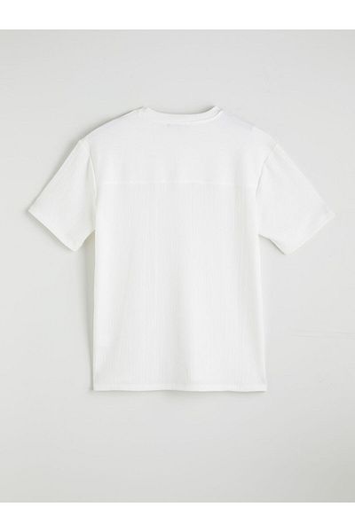LC Waikiki Crew Neck Men's T-Shirt