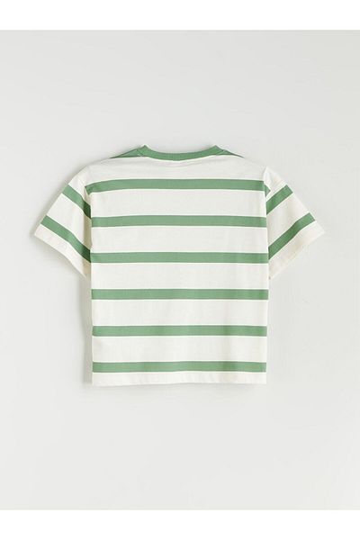 LC Waikiki Crew Neck Striped Boy T-Shirt