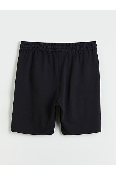 LC Waikiki Standard Fit Men's Shorts