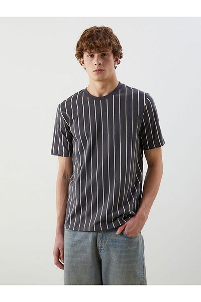 LC Waikiki Crew Neck Striped Men's T-Shirt