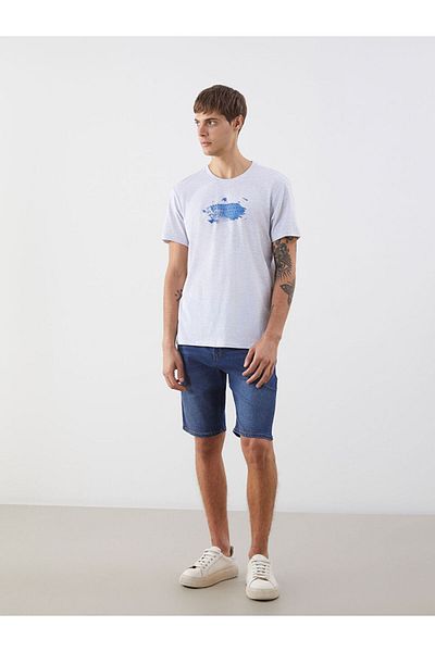 LC Waikiki Crew Neck Printed Men's T-Shirt