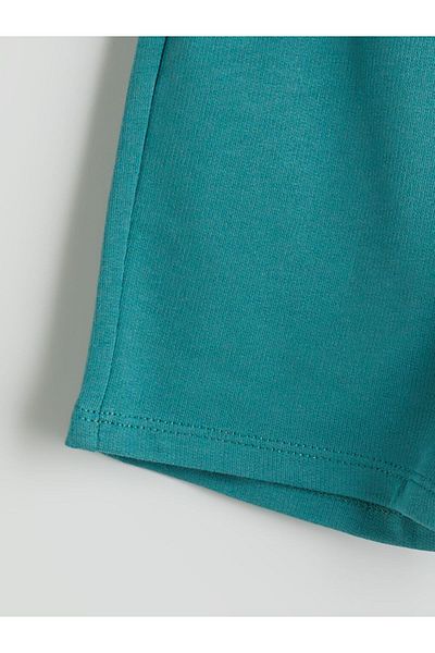 LC Waikiki Basic Boy Shorts with Elastic Waist