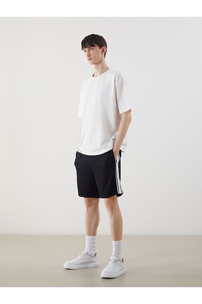 LC Waikiki Standard Fit Men's Shorts