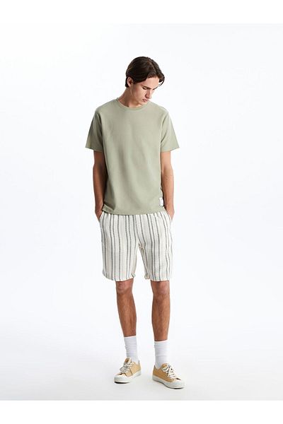 LC Waikiki Standard Fit Striped Men's Shorts