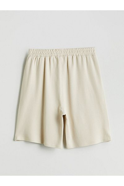 LC Waikiki Standard Fit Men's Shorts