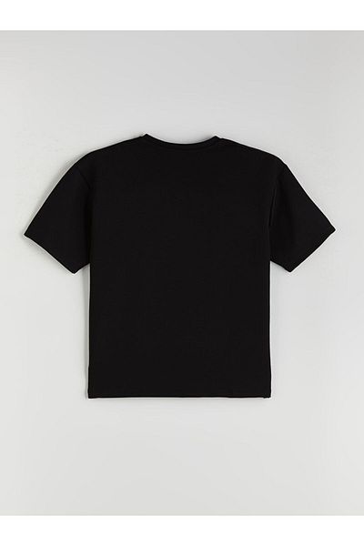 LC Waikiki Crew Neck Men's T-Shirt