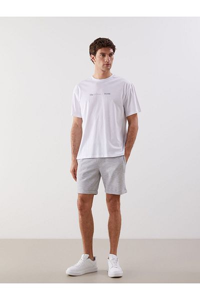 LC Waikiki Gray Melange Standard Fit Men's Shorts
