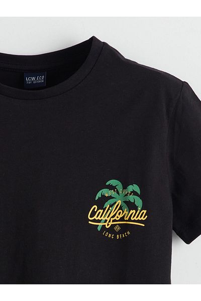 LC Waikiki Crew Neck Boy's T-Shirt