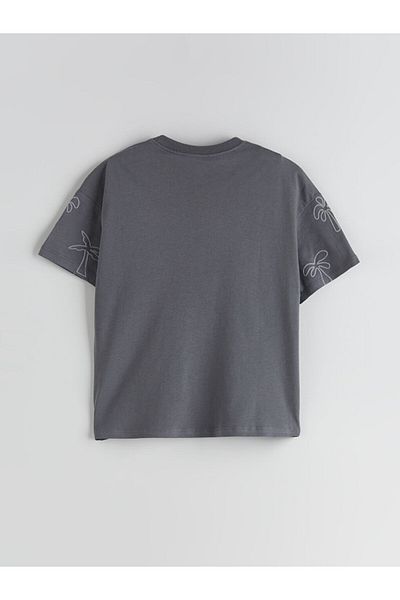 LC Waikiki Crew Neck Printed Boy's T-Shirt