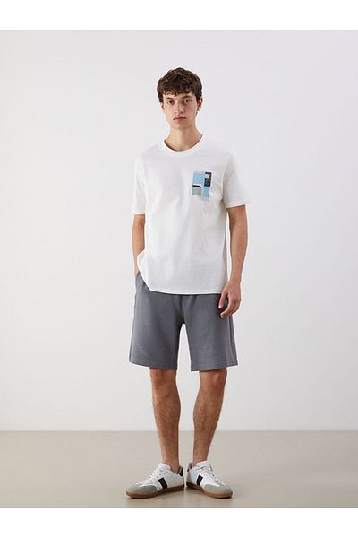 LC Waikiki Standard Fit Men's Shorts