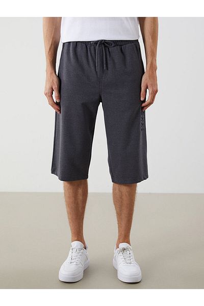 LC Waikiki Standard Fit Men's Shorts