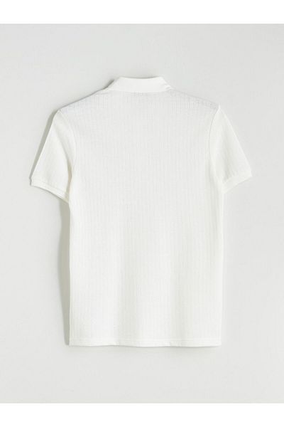 LC Waikiki Ανδρικό T-Shirt Polo Neck Pique