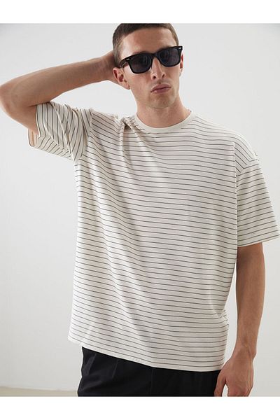 LC Waikiki Crew Neck Striped Men's T-Shirt