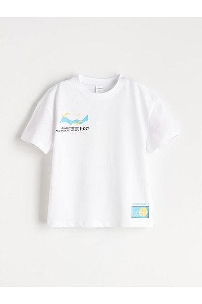 LC Waikiki Crew Neck Printed Boy's T-Shirt