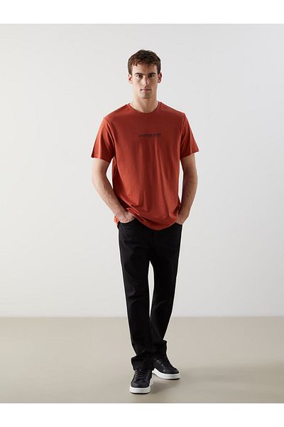 LC Waikiki Crew Neck Printed Men's T-Shirt