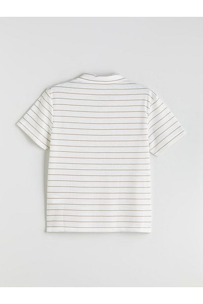 LC Waikiki Polo Neck Striped Men's T-Shirt