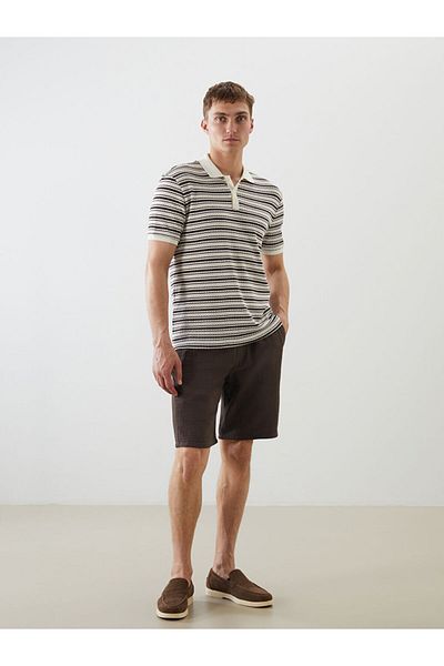 LC Waikiki Polo Neck Striped Men's T-Shirt