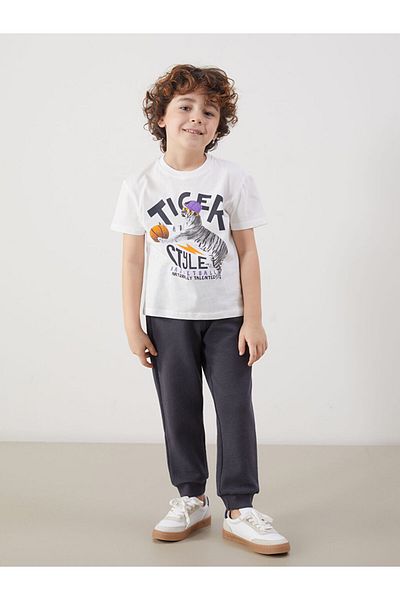LC Waikiki Ecru Crew Neck Printed Boy's T-Shirt