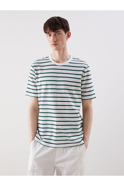 LC Waikiki Crew Neck Striped Men's T-Shirt