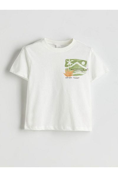 LC Waikiki Crew Neck Printed Boy's T-Shirt