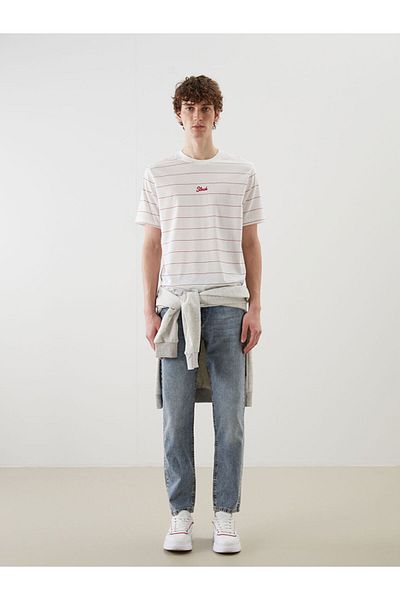 LC Waikiki Crew Neck Striped Combed Cotton Men's T-Shirt