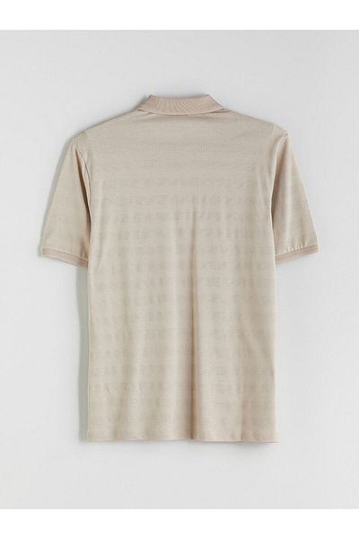 LC Waikiki Polo Neck Striped Men's T-Shirt