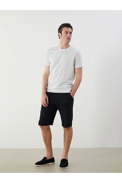 LC Waikiki Crew Neck Striped Men's T-Shirt