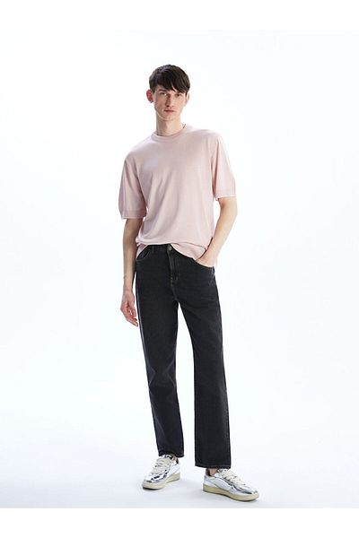 LC Waikiki Crew Neck Short Sleeve Men's Knitwear Sweater