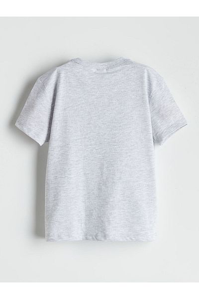 LC Waikiki Crew Neck Boy's T-Shirt
