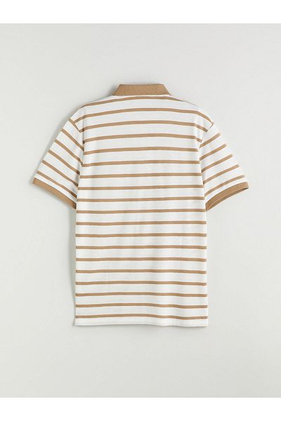LC Waikiki Polo Neck Striped Men's T-Shirt