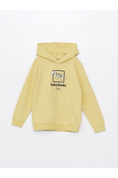 LC Waikiki Hooded Printed Long Sleeve Boy's Sweatshirt