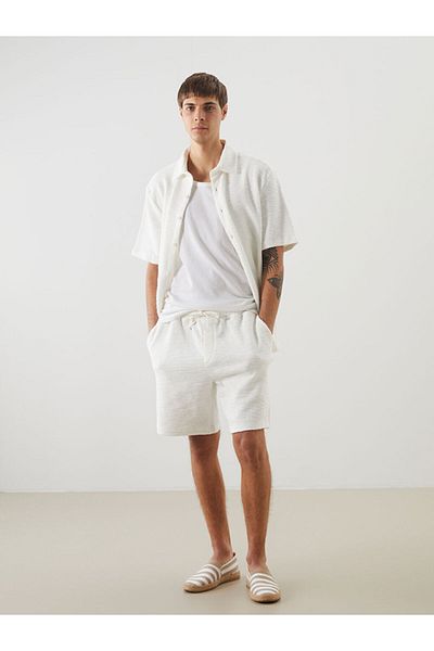 LC Waikiki Standard Fit Men's Shorts