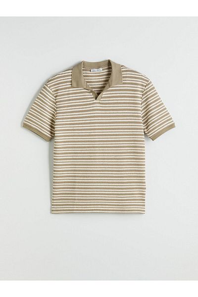LC Waikiki Polo Neck Striped Men's T-Shirt