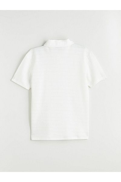 LC Waikiki Polo Neck Men's T-Shirt