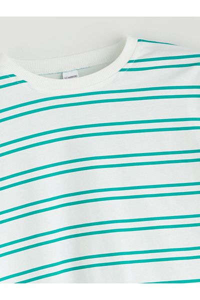 LC Waikiki Crew Neck Striped Boy T-Shirt
