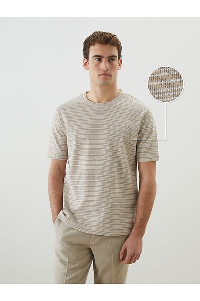LC Waikiki Crew Neck Striped Men's Textured T-Shirt