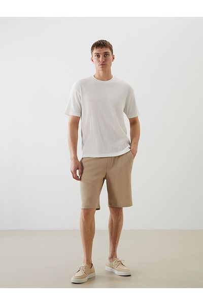LC Waikiki Standard Fit Men's Shorts
