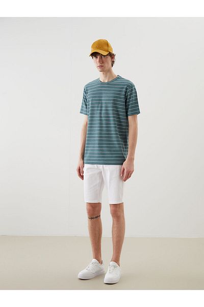 LC Waikiki Crew Neck Striped Men's T-Shirt